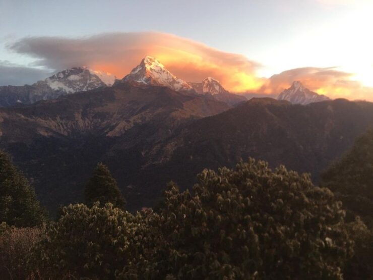 Ghorepani Poonhill Family Tour 5 Days - Tour Details