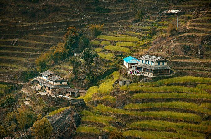 Ghorepani Poonhill Ghandruk Trek from Pokhara: 4-Day Adventure - The Sum Up