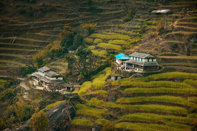 Ghorepani Poonhill Ghandruk Trek from Pokhara: 4-Day Adventure - Good To Know