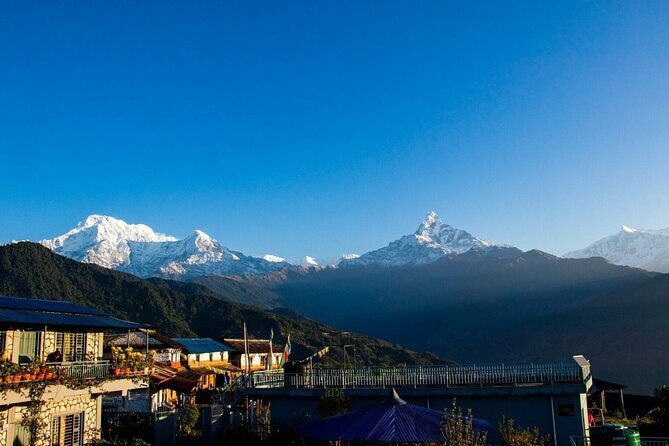 Ghorepani Poonhill Ghandruk Trek from Pokhara: 4-Day Adventure - What You Can Expect From the Trek