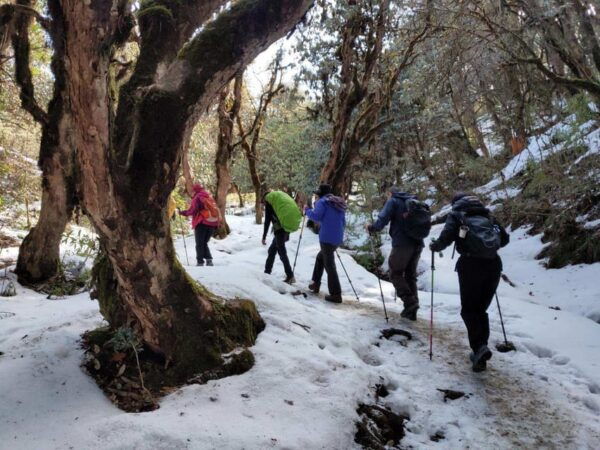 Ghorepani: Poonhill Trek - Tips for Successful Trekking