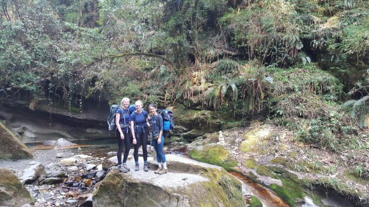 Ghorepani Poonhill Trek 3 Days - Trek Experience Highlights