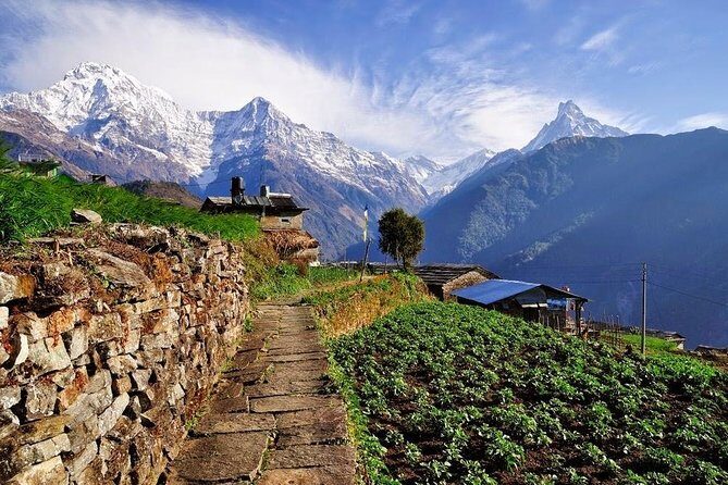 Ghorepani Poonhill Trek 5 Days from Pokhara - The Experience in Detail