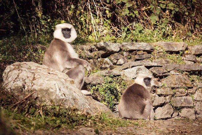 Ghorepani Poonhill Trek 5 Days from Pokhara - Challenges to Consider