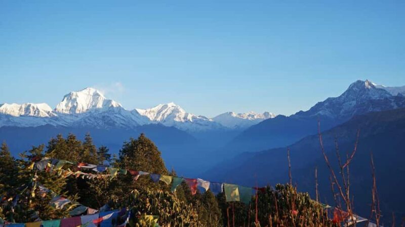 Ghorepani Poonhill Trek 8 Days - Introduction: Why This Trek Is Special