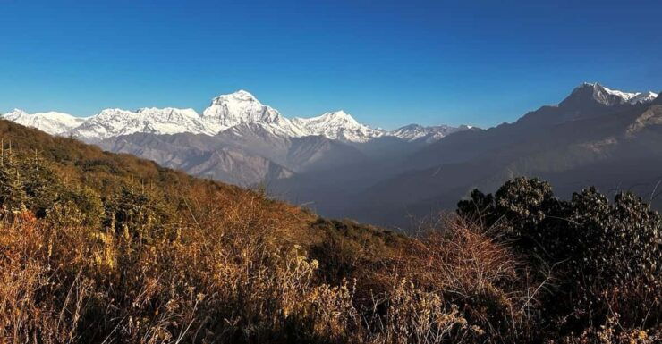 Ghorepani Poonhill Trek - Experience and Highlights