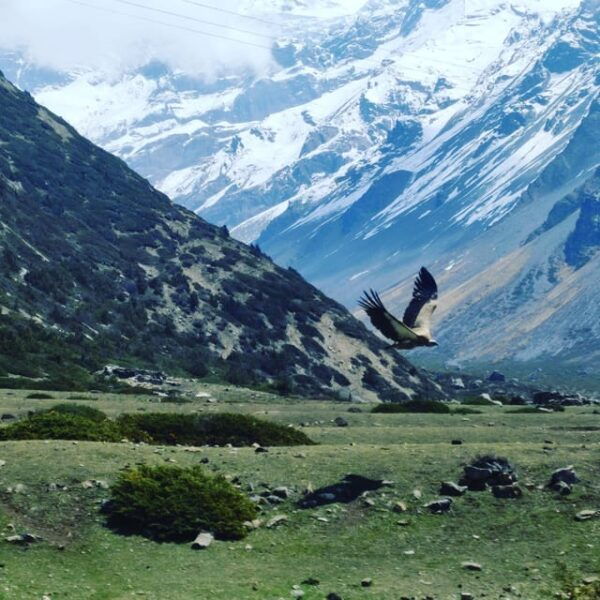 Ghorepani Poonhill Trek - Important Policies