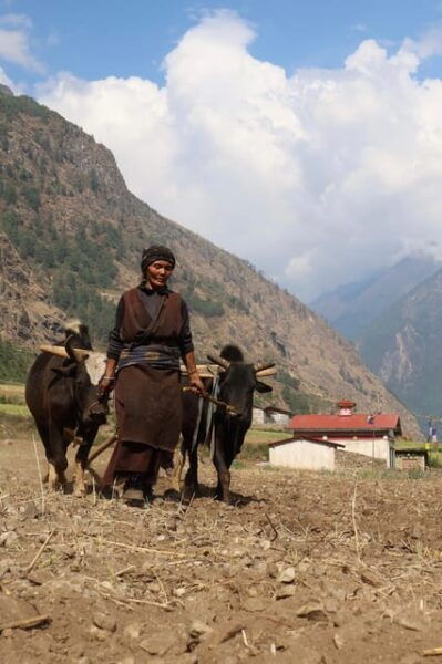 Ghorepani Poonhill Trek - Additional Recommendations