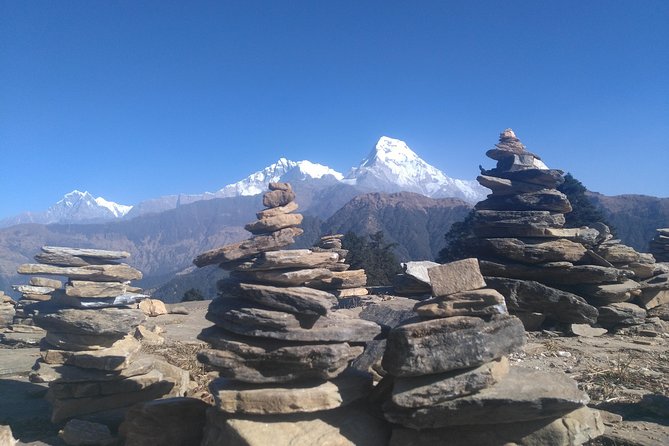 Ghorepani Poonhill Treks 5-Days - Reviews