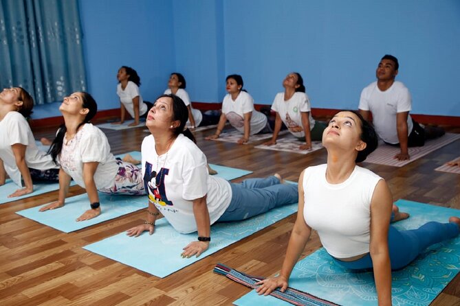 Ghorepani Punhill Yoga Trek - Daily Itinerary for the Ghorepani Punhill Yoga Trek