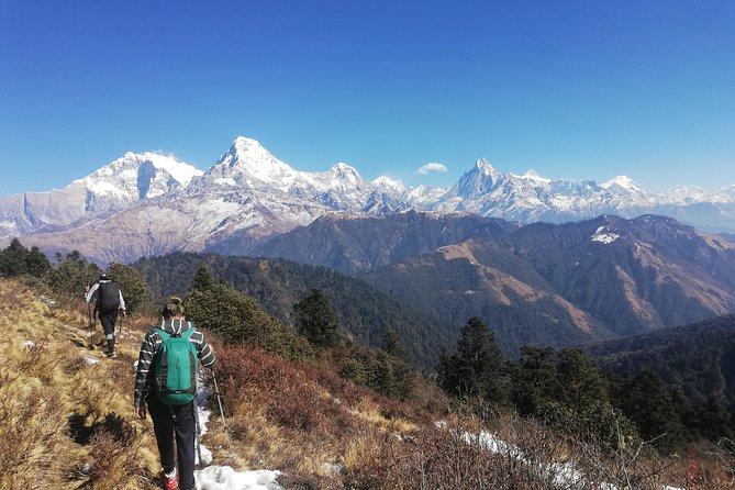 Ghorepani Punhill Yoga Trek - Highlights and Attractions Along the Ghorepani Punhill Yoga Trek