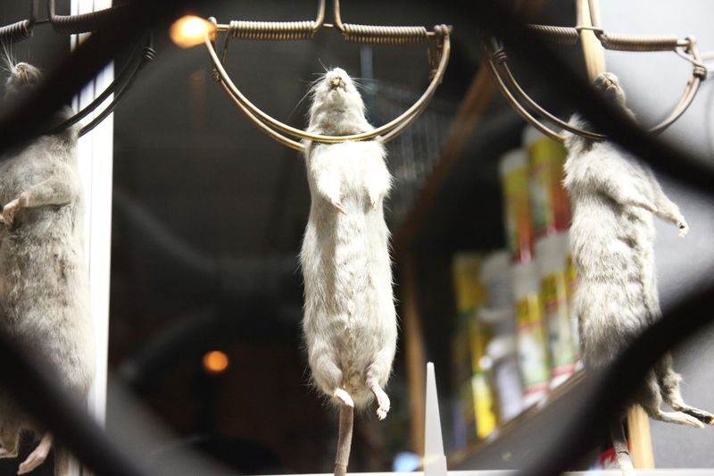 Ghosts, Mysteries and Legends Evening Walking Tour in Paris - Storytelling is the main attraction
