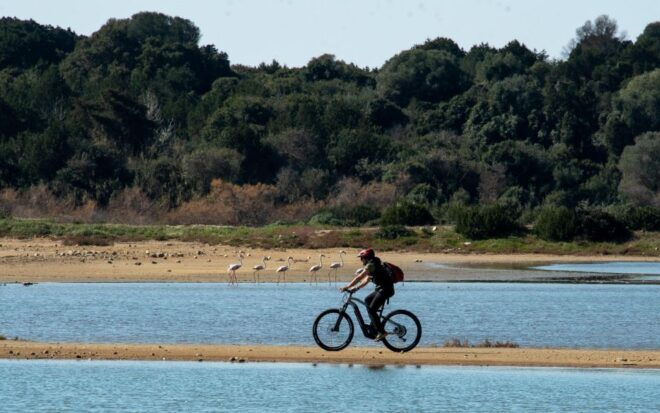 Gialova: Navarino Bay E-Bike Tour With Waterfall Swim - Directions