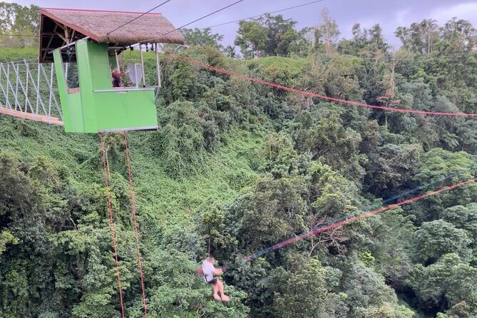 Giant Canyon Swing with Transfers - Frequently Asked Questions