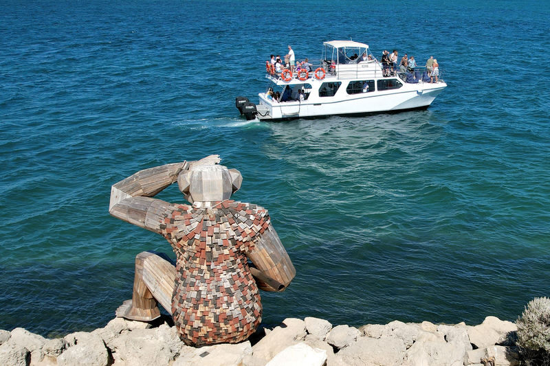 Giant & Dolphin Sightseeing Cruise Tour - Who should book this cruise?