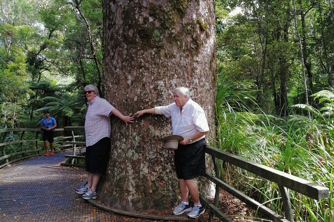 Giant Kauries and Glowwormss Cave - the Bay of Islands Tour Private Tour - Questions and Support