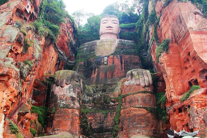 Giant Panda and Leshan Buddha Day Trip From Chengdu - Inclusions and Amenities