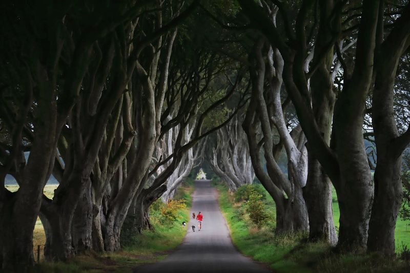 Giants Causeway, Dark Hedges & Belfast City Tour from Dublin - What the guides and group size mean for your day
