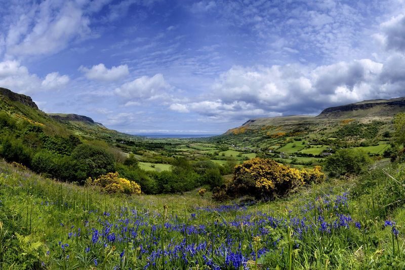 Giants Causeway, Dunluce Castle & Dark Hedges Tour from Belfast - The guide, the schedule and what you pay
