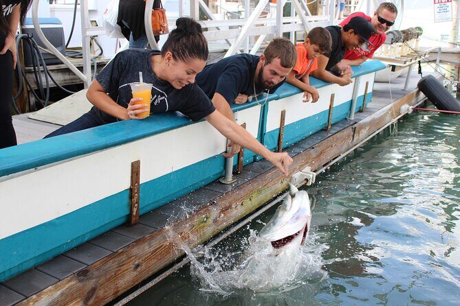 Giant Tarpon Fish Feeding Experience in Bayside Marketplace - Good To Know