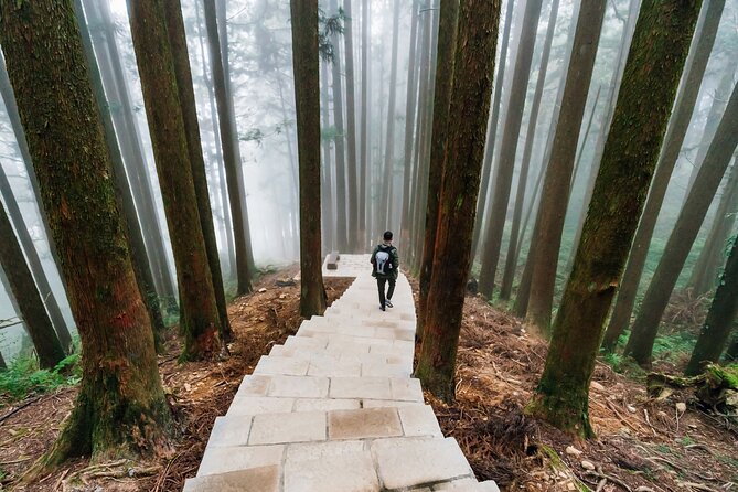 Giant Tree Trail & Alishan Forest Railway Full Day Tour - Tour Price and Guarantee