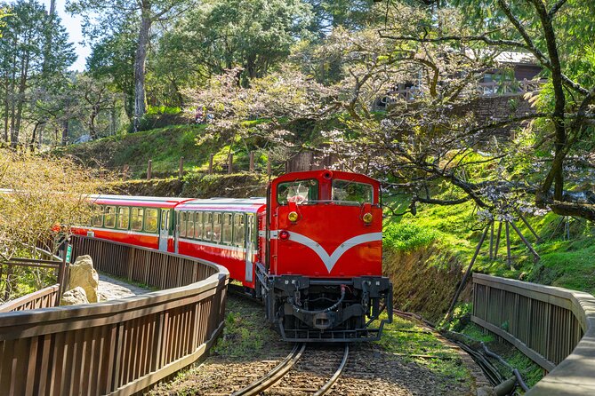 Giant Tree Trail & Alishan Forest Railway Full Day Tour - Cancellation Policy Details