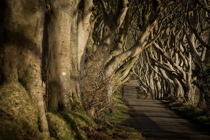 Giants Causeway and More Including Titanic Experience Ticket Tour From Belfast - Meeting and Pickup