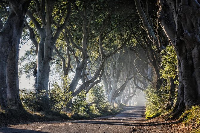 Giants Causeway and More Including Titanic Experience Ticket Tour From Belfast - The Sum Up
