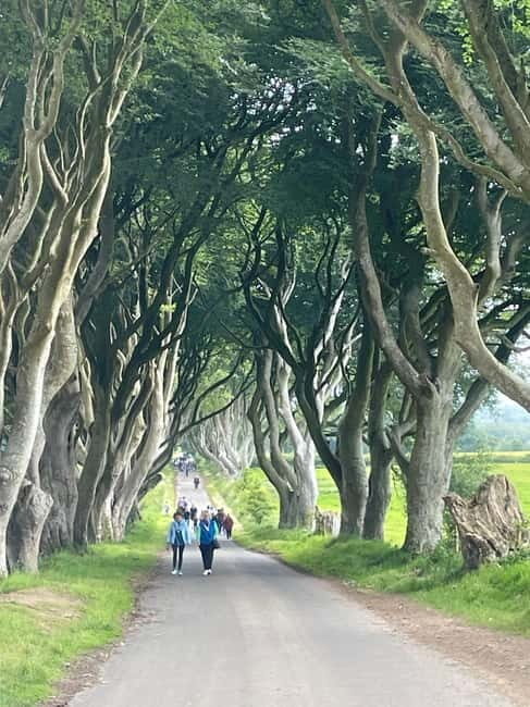 GIANTS CAUSEWAY & BLACK TAXI TOUR - An In-Depth Look at the Tour Experience
