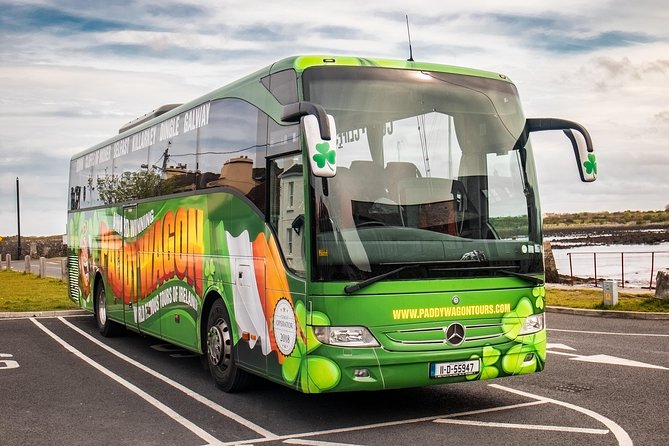 Giants Causeway Day Tour From Dublin - Traveler Tips and Recommendations