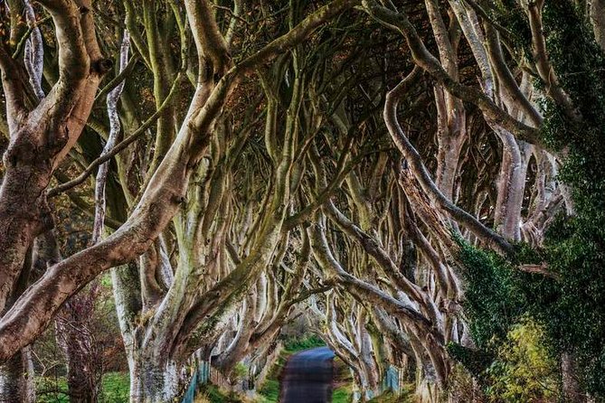Giants Causeway Full Day Tour From Belfast - Additional Information