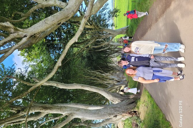 Giants Causeway Private Tour 1 to 7 People - Price and Guarantee
