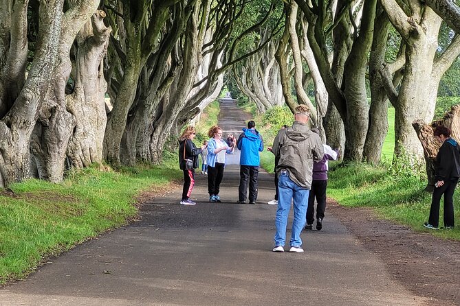 Giants Causeway Private Tour 1 to 7 People - Customer Reviews