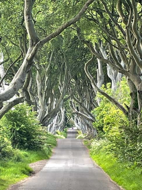 Giants Causeway Tour Cruise Ship Excursion - What Makes This Tour Stand Out