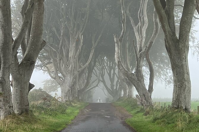 Giants Causeway Tour From Belfast in Luxury Multi Seater - Additional Information