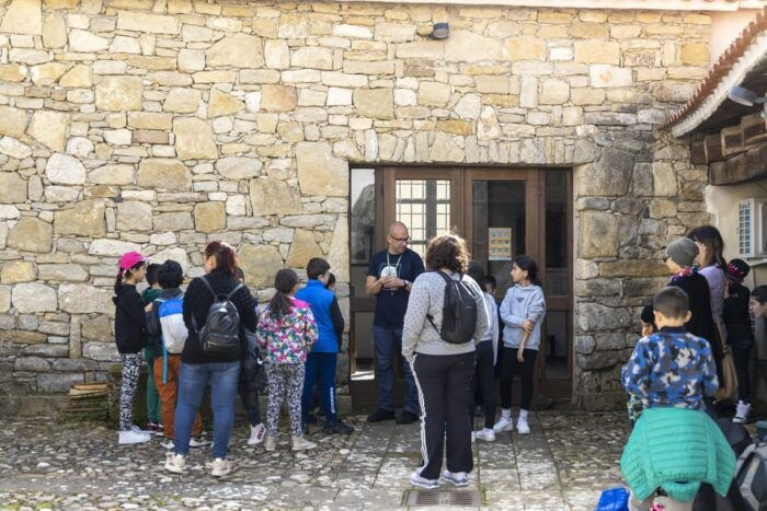 Giara Horse Museum Entry Ticket - Methodology and Microhistories in Museum Updates