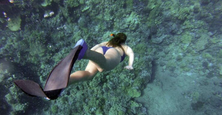 Giardini Naxos: Isola Bella Marine Park Snorkeling Cruise - Experience Highlights