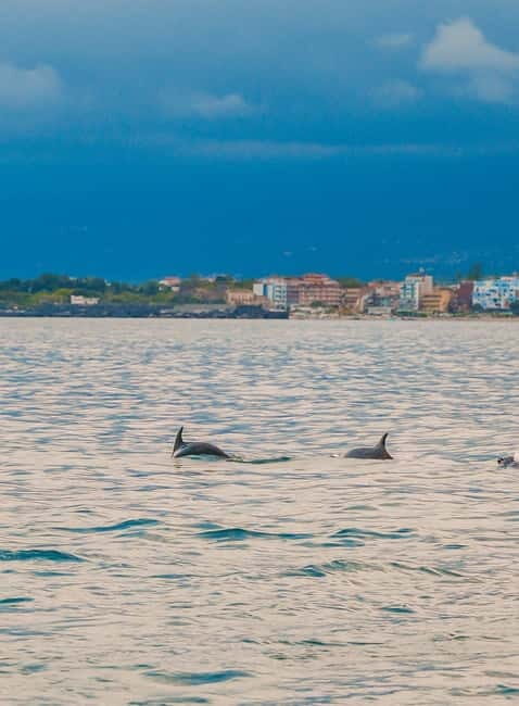 Giardini Naxos Taormina: Dolphin Watching Sunset Tour - An In-Depth Look at the Tour Experience