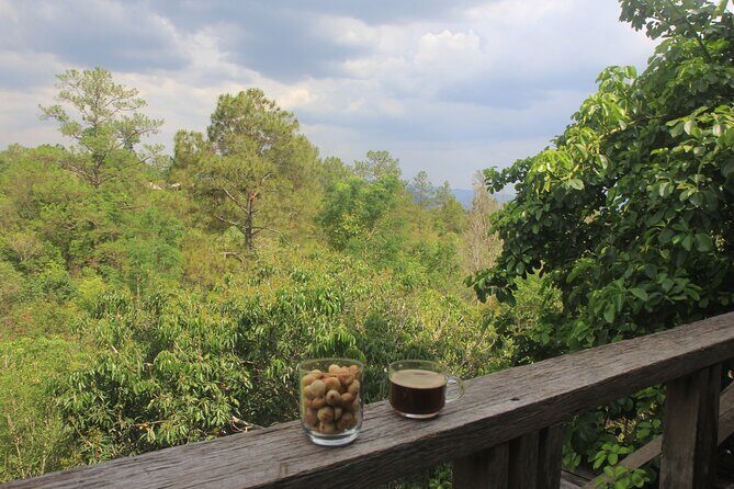 Gibbon Conservation and Cultural 2-Days Adventure - Practical Information & FAQs