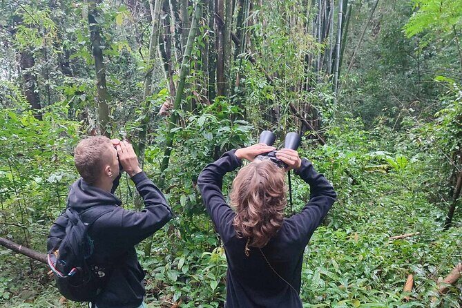 Gibbon Conservation and Cultural 2-Days Adventure - Additional Questions & Answers