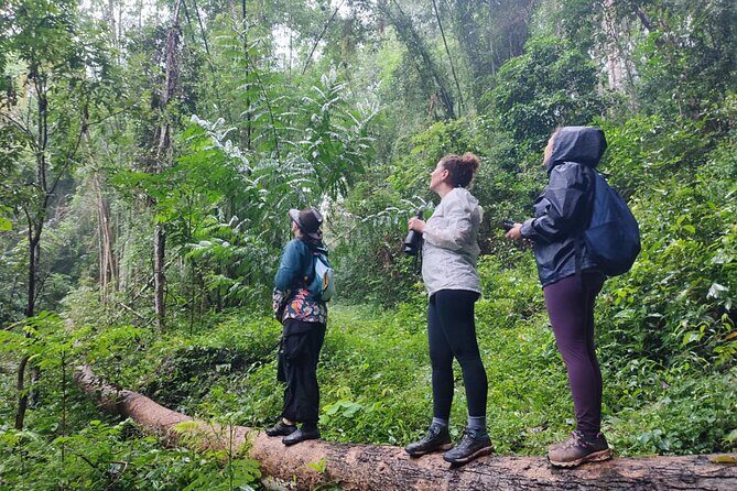 Gibbon Conservation and Cultural 2-Days Adventure - Authentic Insights from Travelers