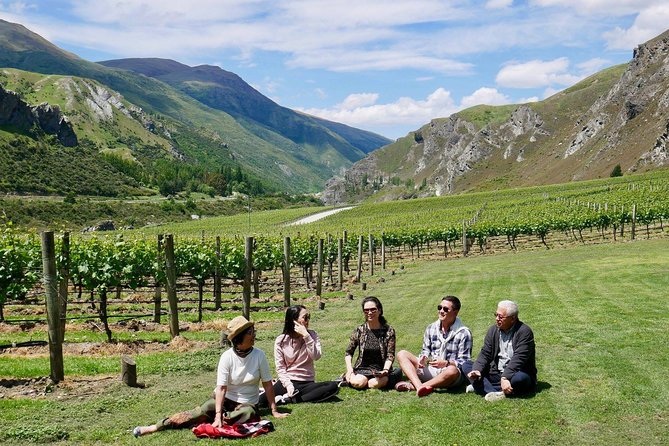 Gibbston Half-Day Private Wine Tour With Hotel Pickup - Overview of the Gibbston Wine Tour