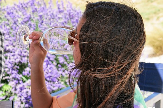 Gibbston Half-Day Private Wine Tour With Hotel Pickup - Expert Guided Tour of Gibbston Valley