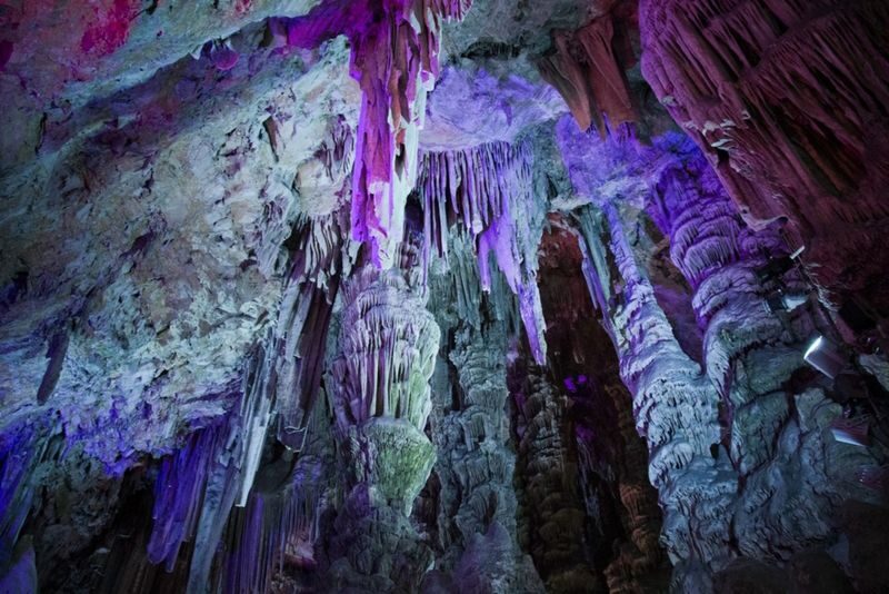 Gibraltar and Saint Michaels Cave Day Tour From Seville - Macaques and the route around the Rock