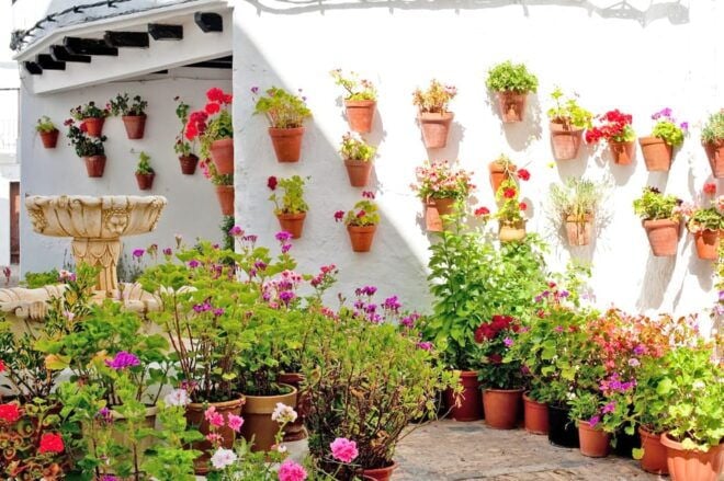Gibraltar and Vejer: Private Day Trip From Seville - Stroll Down Main Street