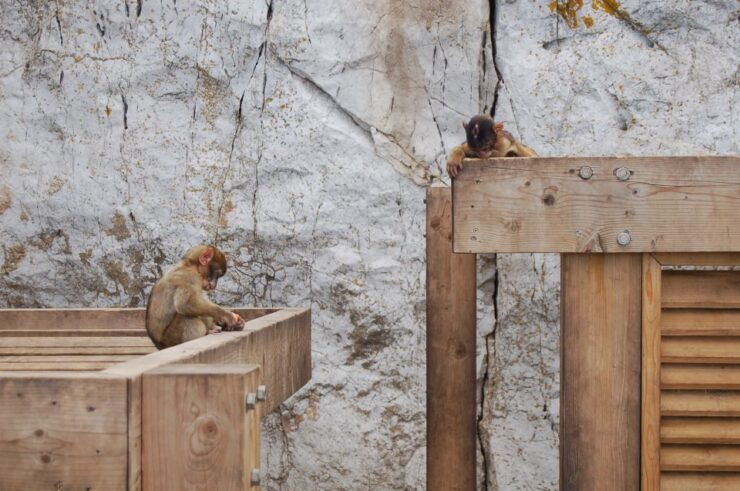 Gibraltar Day Trip From Seville - Activity Details