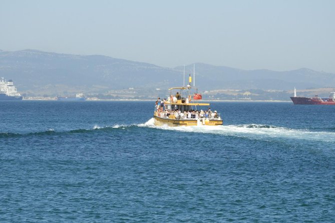 Gibraltar Dolphin Adventure - The Sum Up
