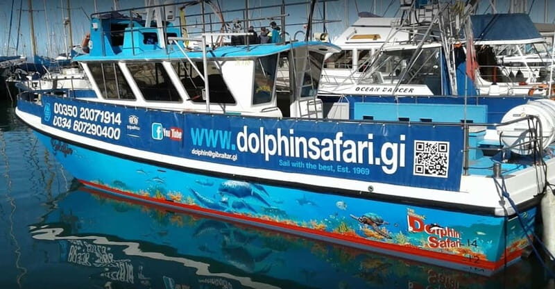 Gibraltar: Dolphin Watching Boat Tour V.I.P - Good To Know