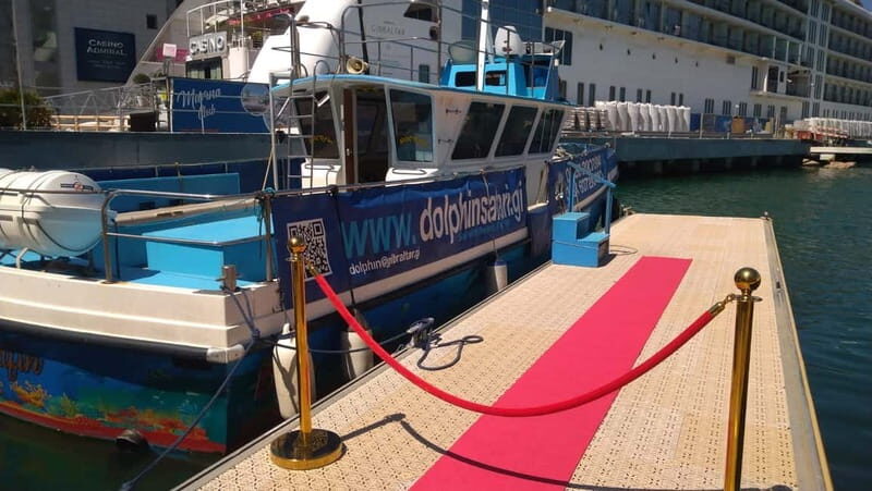 Gibraltar: Dolphin Watching Boat Tour V.I.P - Transportation from Costa del Sol