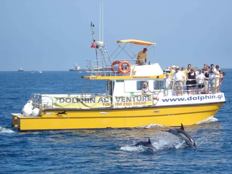 Gibraltar: Dolphin Watching Tour - Good To Know